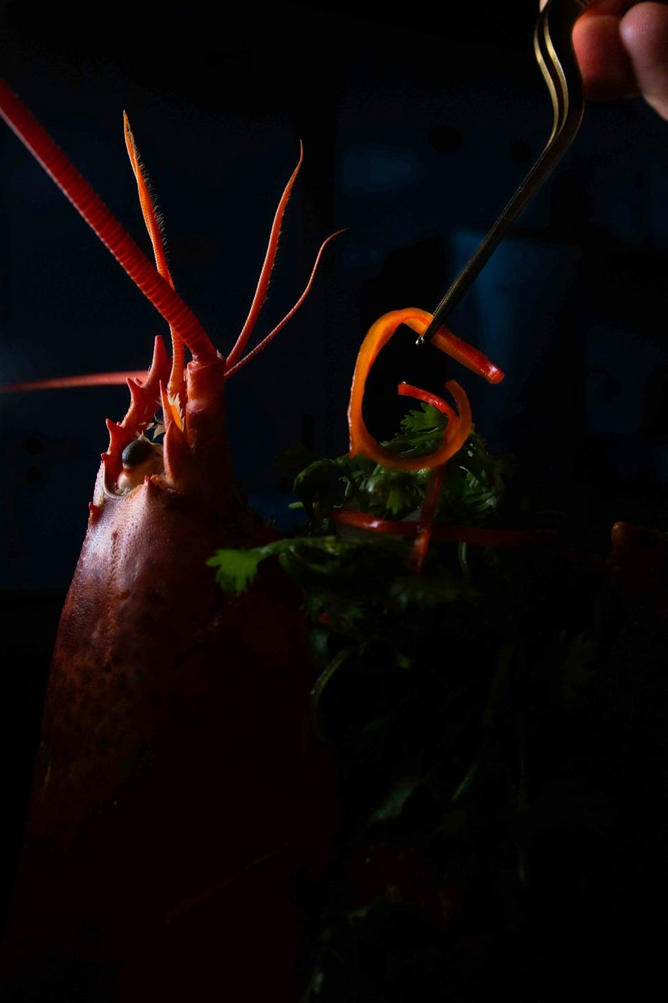 Fine Dining Restaurant